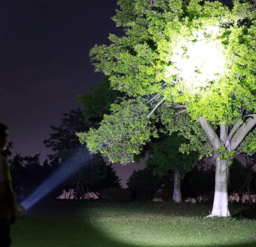 Lampe de Poche Rechargeable Lanterna - Torche Puissante avec Longue Portée Gemalys™